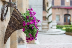 Flowers at Marketplace in Pienza, Tuscanyuscany